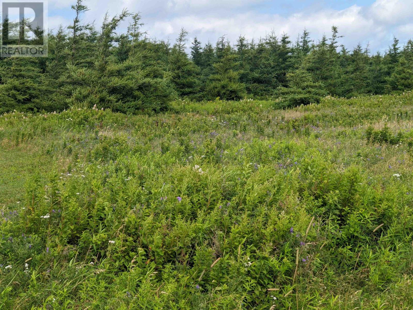 Lot 16 Osprey Lane, Malpeque, Prince Edward Island  C0B 1M0 - Photo 4 - 202510783