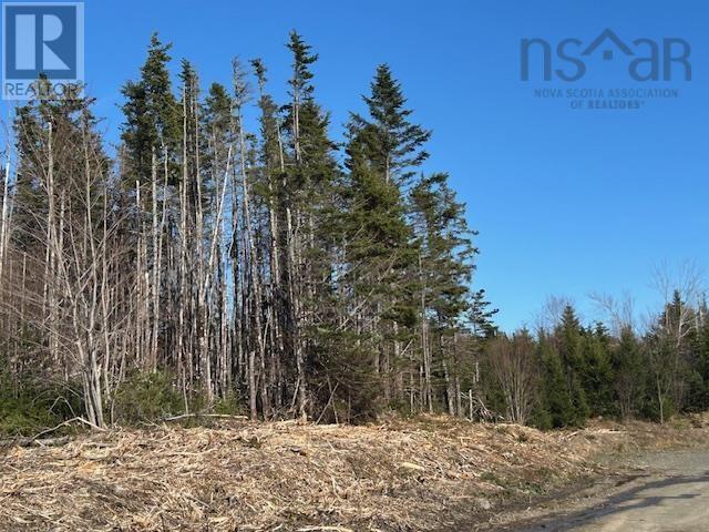 Salmon River Road, Salmon River, Nova Scotia  B0E 3B0 - Photo 2 - 202510791