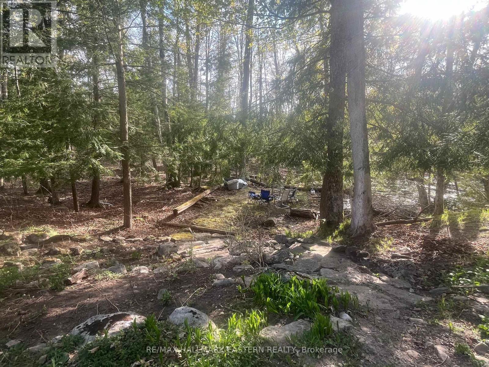 70 Sumcot Drive, Trent Lakes, Ontario  K0L 1J0 - Photo 37 - X12012915