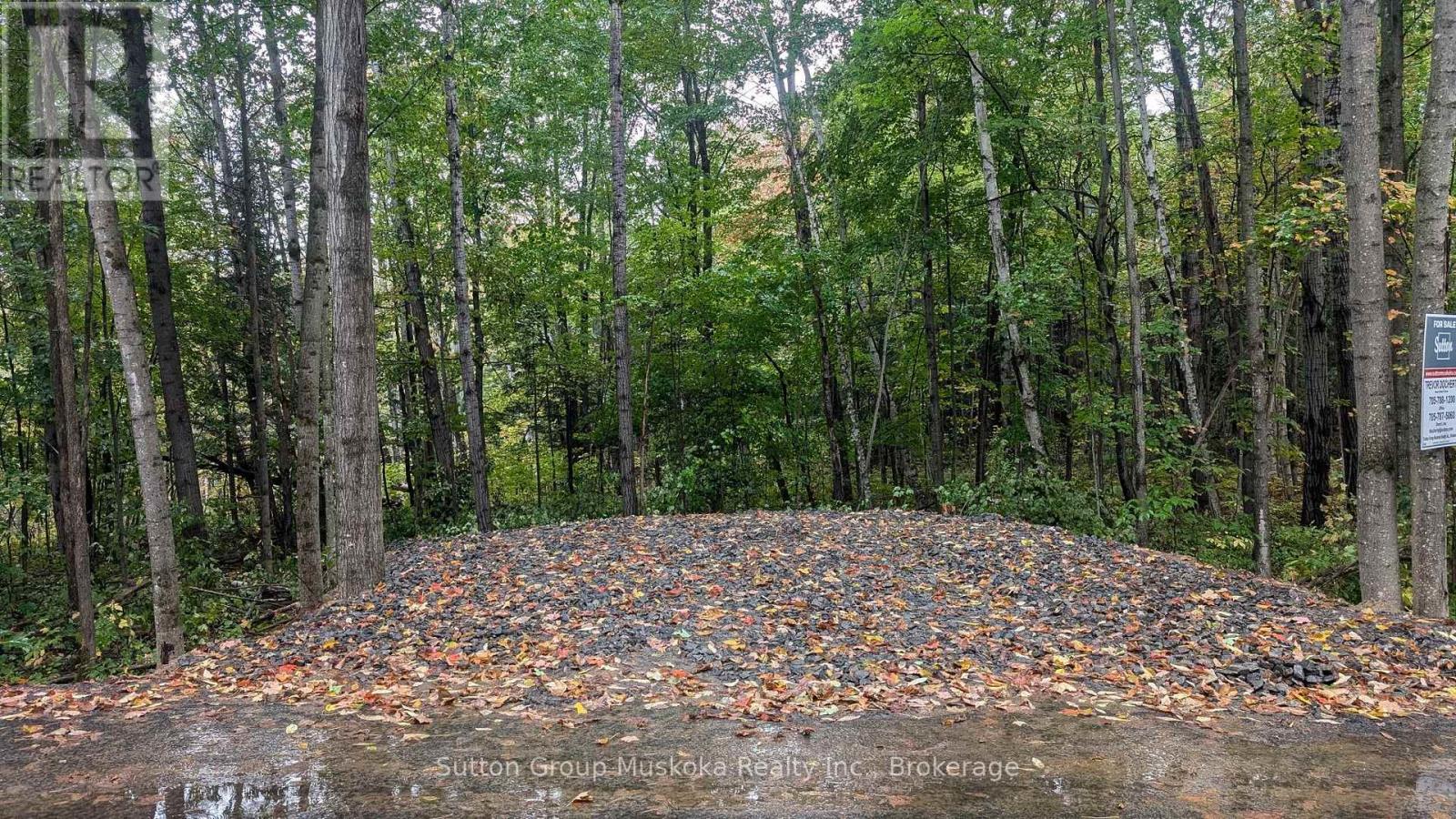 Lot 1 Tally-Ho Winter Park Road, Lake Of Bays, Ontario  P1H 2E8 - Photo 2 - X12144289