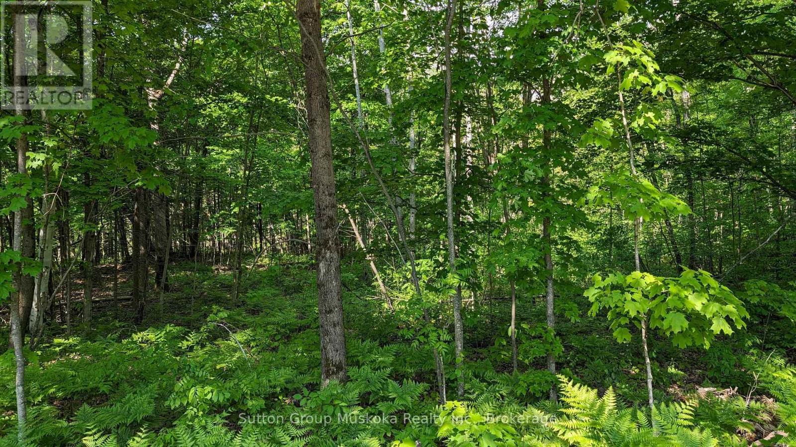 Lot 1 Tally-Ho Winter Park Road, Lake Of Bays, Ontario  P1H 2E8 - Photo 8 - X12144289