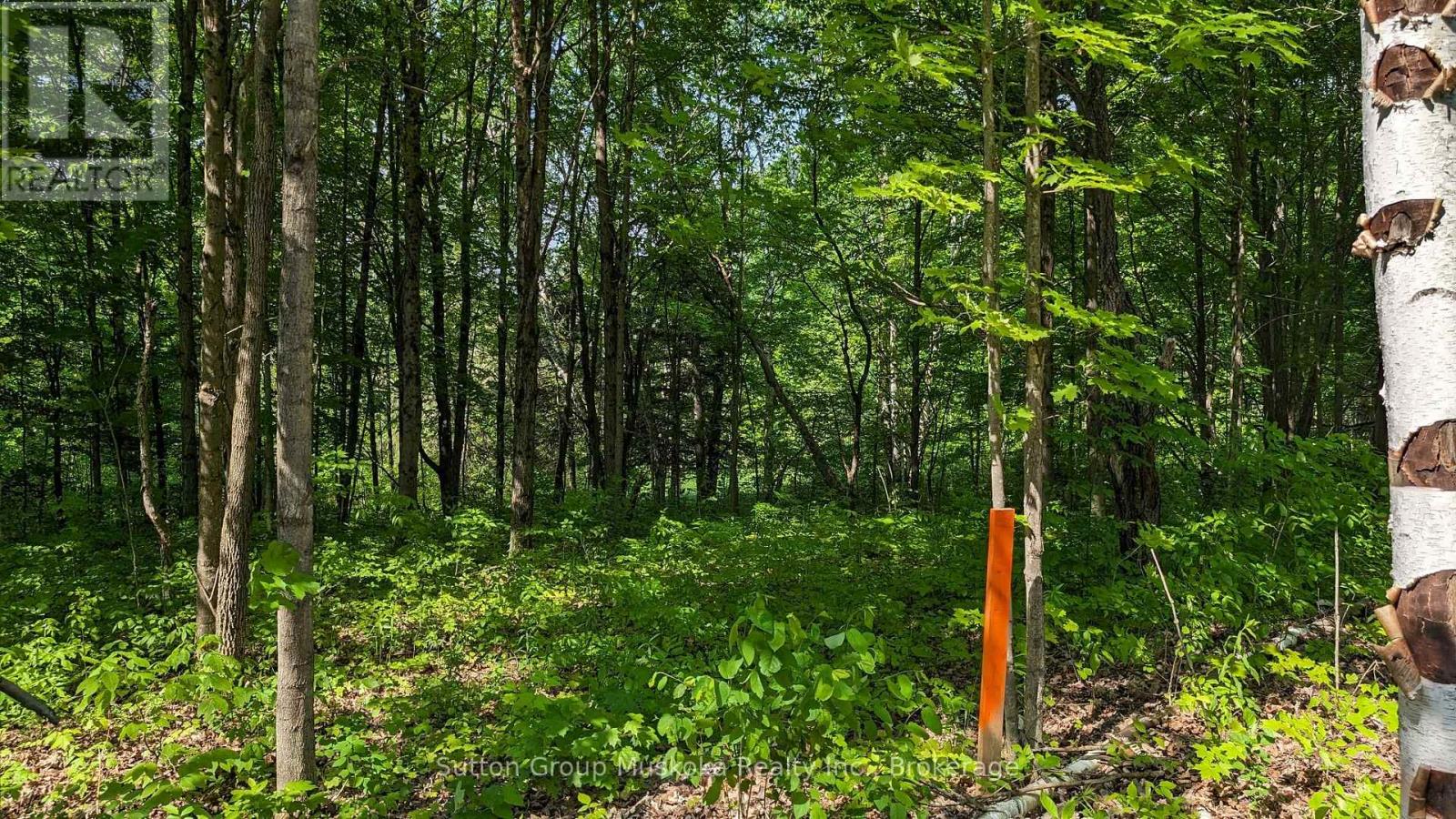 Lot 2 Tally-Ho Winter Park Road, Lake Of Bays, Ontario  P1H 2E5 - Photo 6 - X12144327
