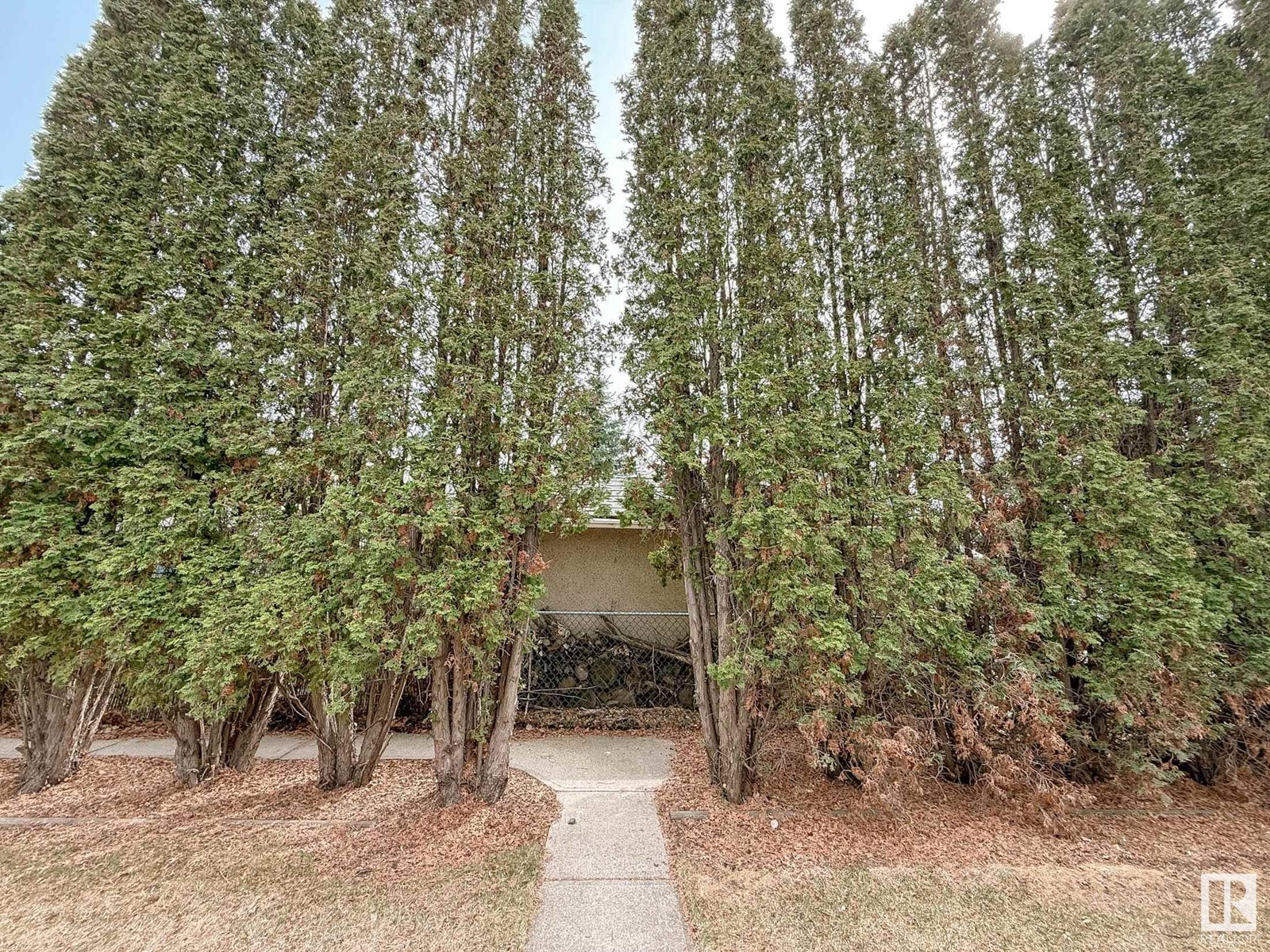 10832 130 St Nw, Edmonton, Alberta  T5M 0X5 - Photo 24 - E4433771