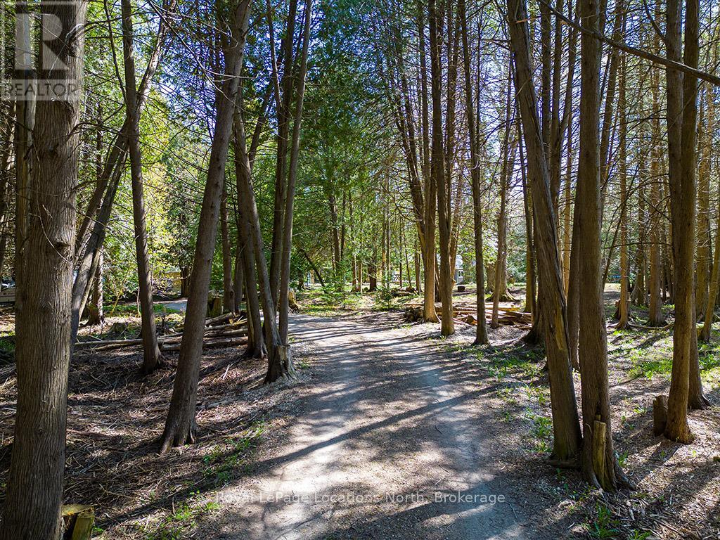 354515 Osprey-Artemesia Townline, Grey Highlands, Ontario  N0C 1E0 - Photo 4 - X12144539