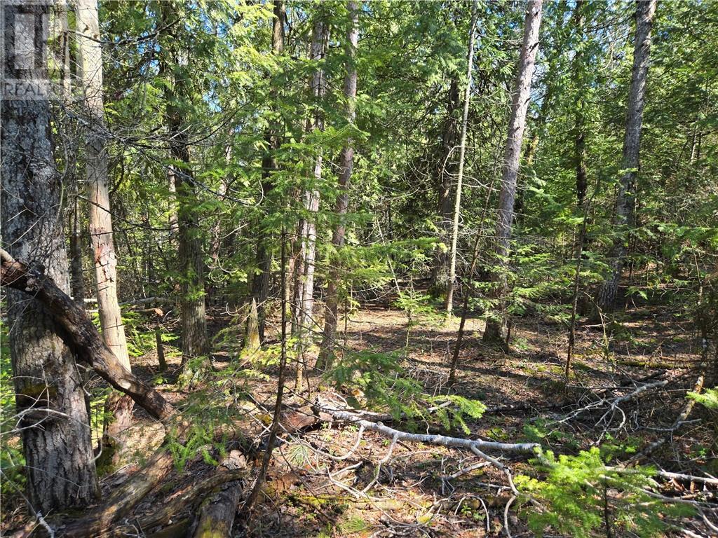Lot 6 31m-209 Water Street, Meldrum Bay, Ontario  P0P 1R0 - Photo 11 - 2121783