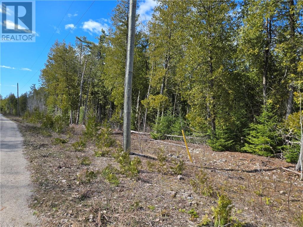 Lot 6 31m-209 Water Street, Meldrum Bay, Ontario  P0P 1R0 - Photo 10 - 2121783