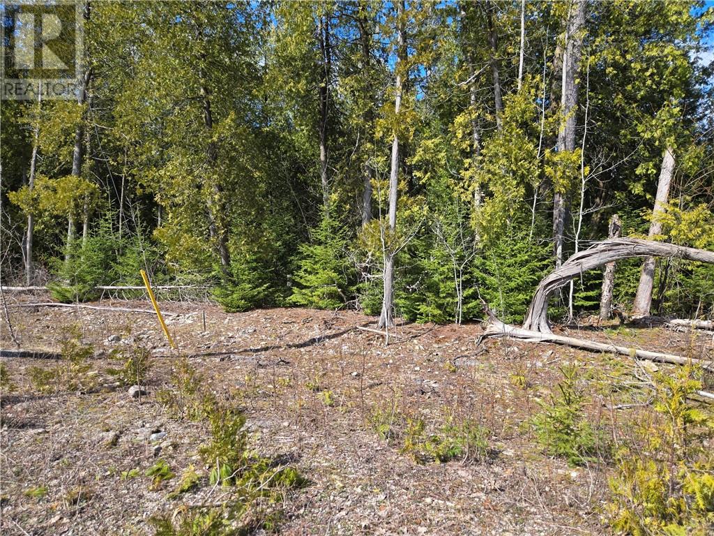Lot 6 31m-209 Water Street, Meldrum Bay, Ontario  P0P 1R0 - Photo 9 - 2121783
