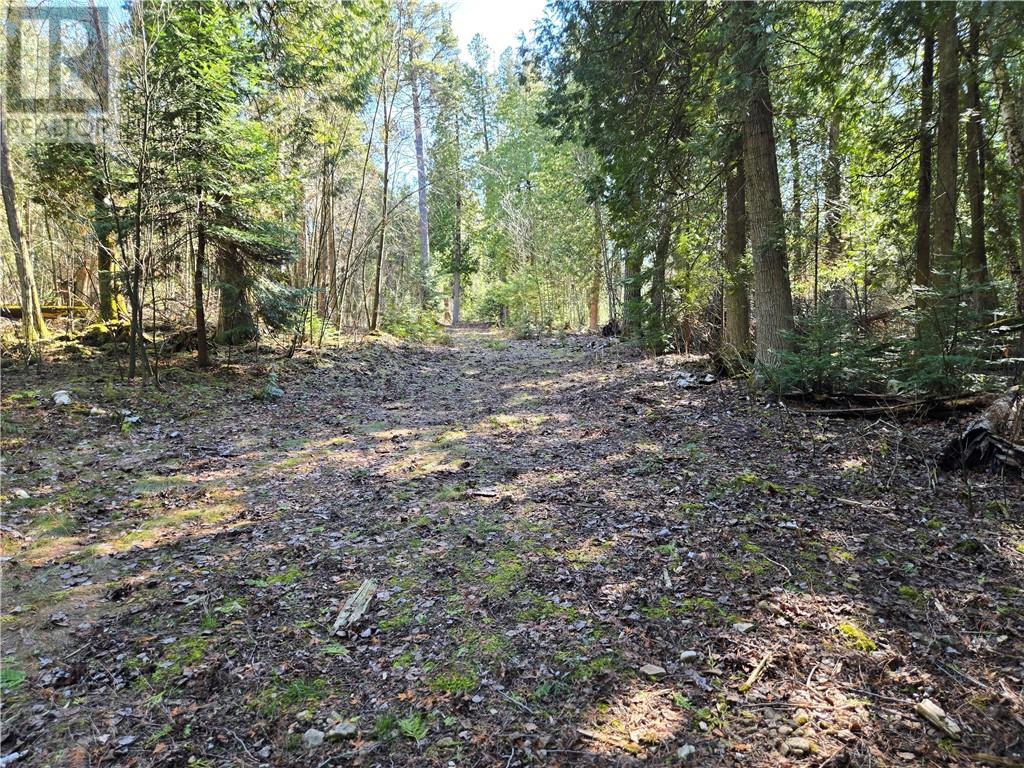Lot 15 31m-209 Water Street, Meldrum Bay, Ontario  P0P 1R0 - Photo 7 - 2121784