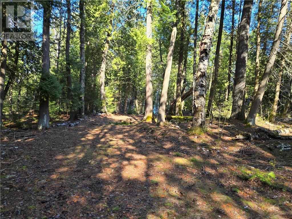 Lot 15 31m-209 Water Street, Meldrum Bay, Ontario  P0P 1R0 - Photo 8 - 2121784