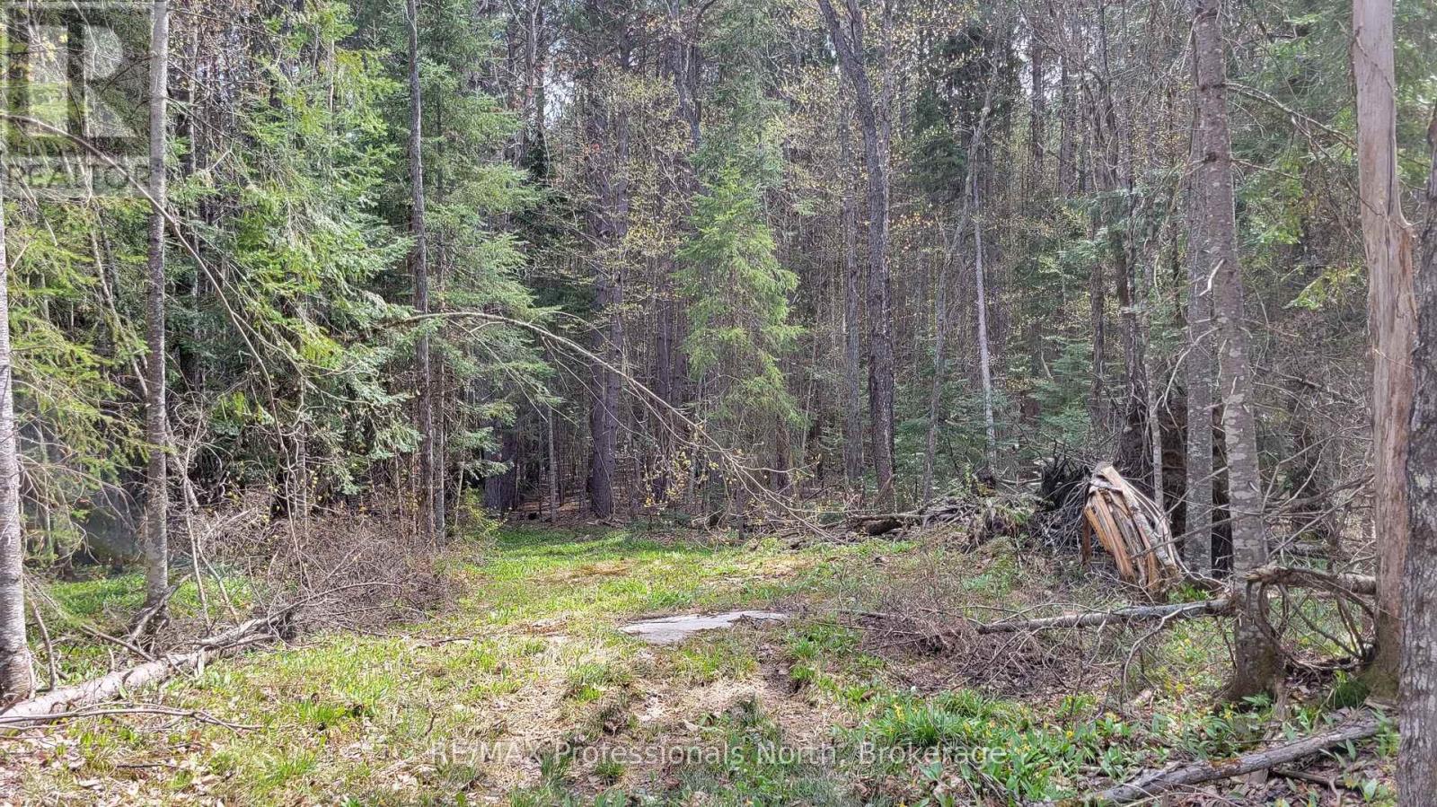 1469 Yearley Road, Mcmurrich/monteith, Ontario  P0A 1Y0 - Photo 13 - X12141512