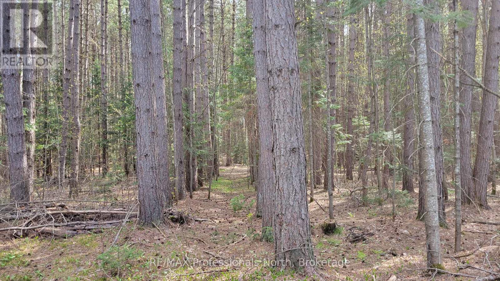 1469 Yearley Road, Mcmurrich/monteith, Ontario  P0A 1Y0 - Photo 14 - X12141512