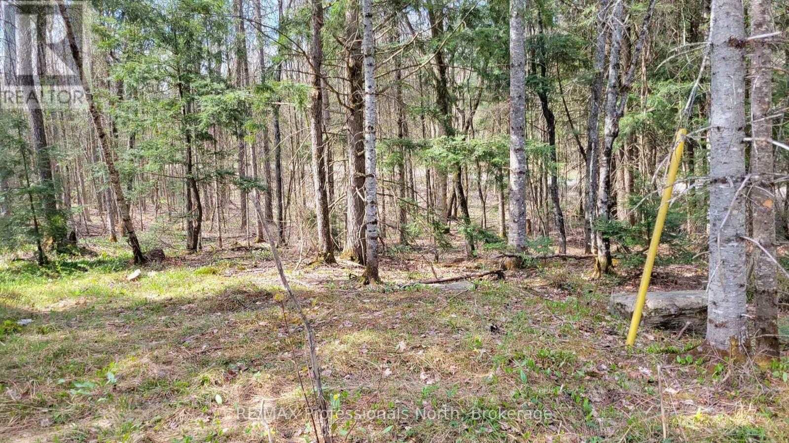 1469 Yearley Road, Mcmurrich/monteith, Ontario P0A 1Y0 - Photo 5 - X12141512