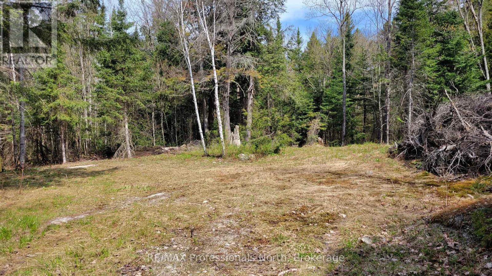1469 Yearley Road, Mcmurrich/monteith, Ontario P0A 1Y0 - Photo 3 - X12141512