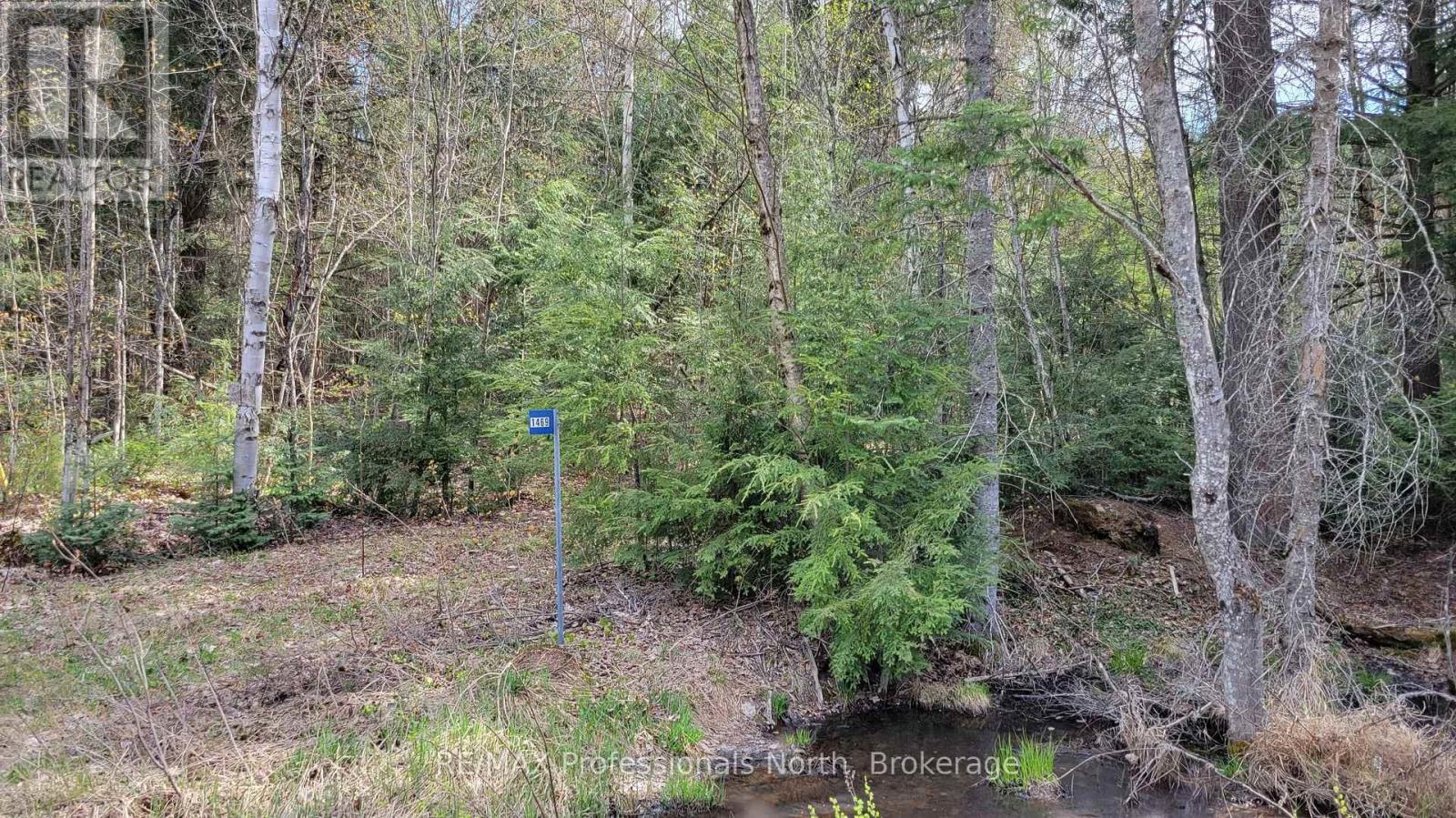 1469 Yearley Road, Mcmurrich/monteith, Ontario P0A 1Y0 - Photo 7 - X12141512