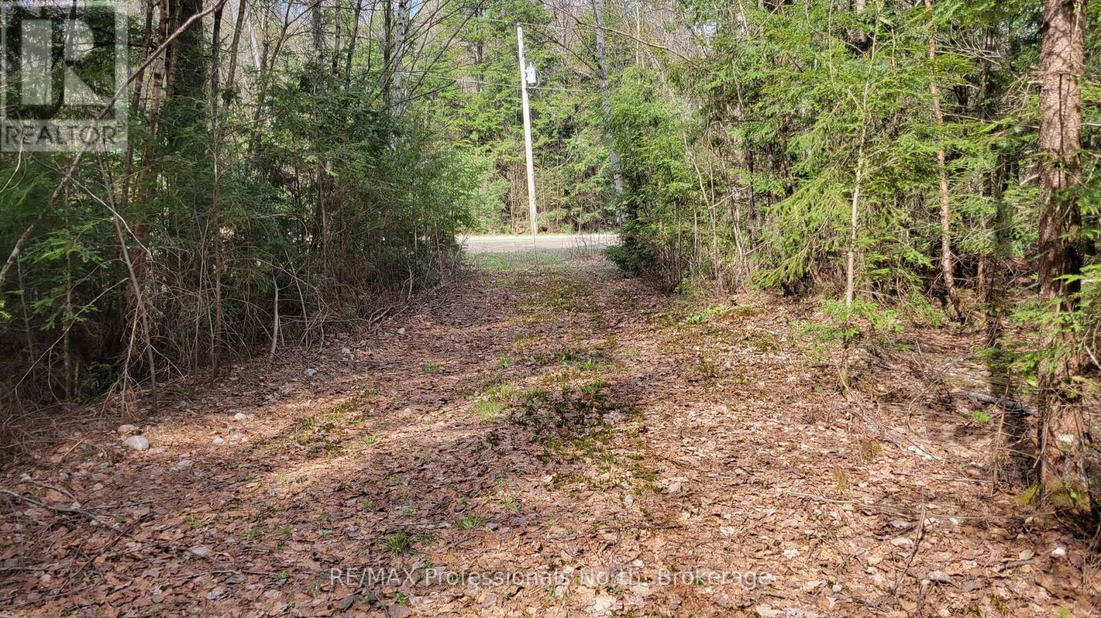 1469 Yearley Road, Mcmurrich/monteith, Ontario  P0A 1Y0 - Photo 2 - X12141512