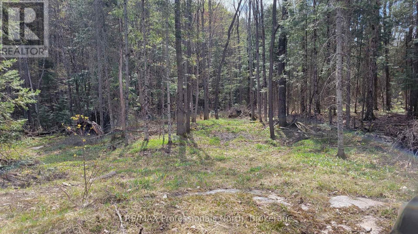 1469 Yearley Road, Mcmurrich/monteith, Ontario P0A 1Y0 - Photo 4 - X12141512
