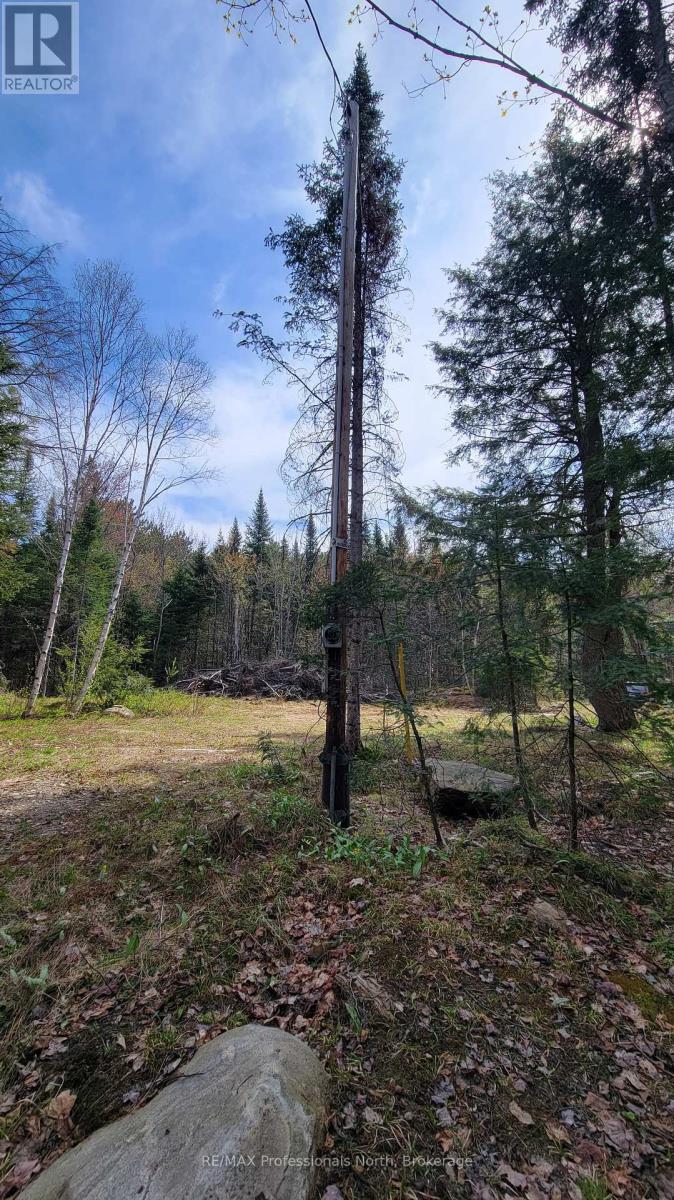 1469 Yearley Road, Mcmurrich/monteith, Ontario P0A 1Y0 - Photo 6 - X12141512