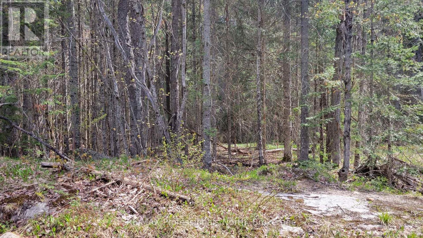 1469 Yearley Road, Mcmurrich/monteith, Ontario P0A 1Y0 - Photo 8 - X12141512