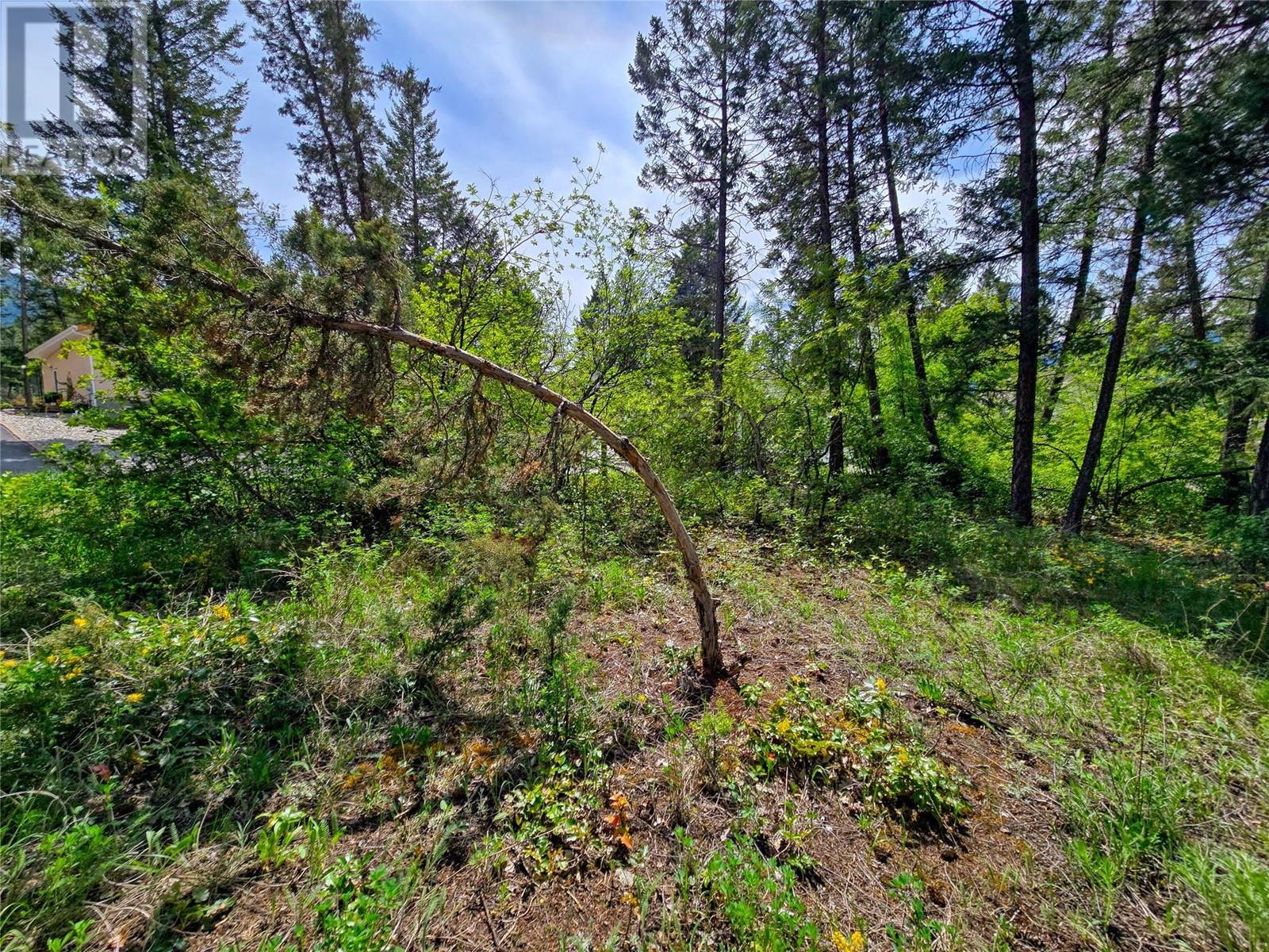 Lot 66 Riverview Crescent, Fairmont Hot Springs, British Columbia  V0B 1L1 - Photo 11 - 10346870