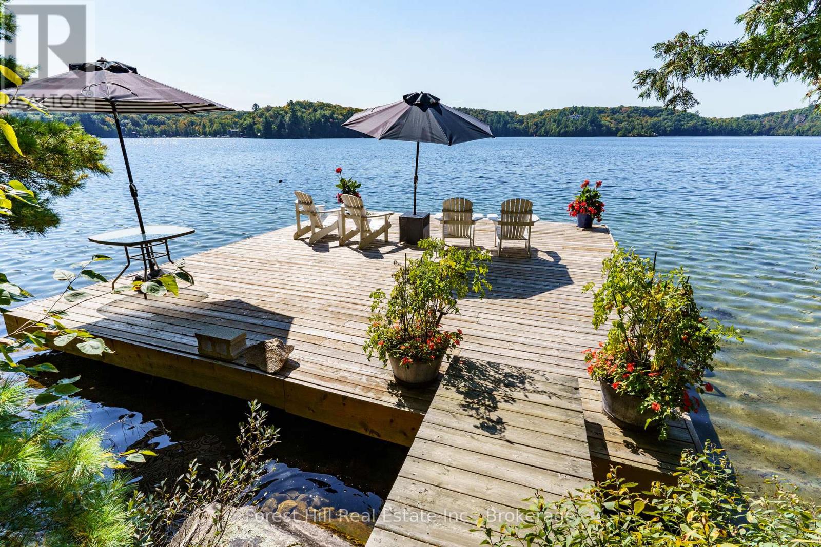 29sl4 Clifton Island, Muskoka Lakes (Watt), Ontario  P0G 1G0 - Photo 10 - X12144484