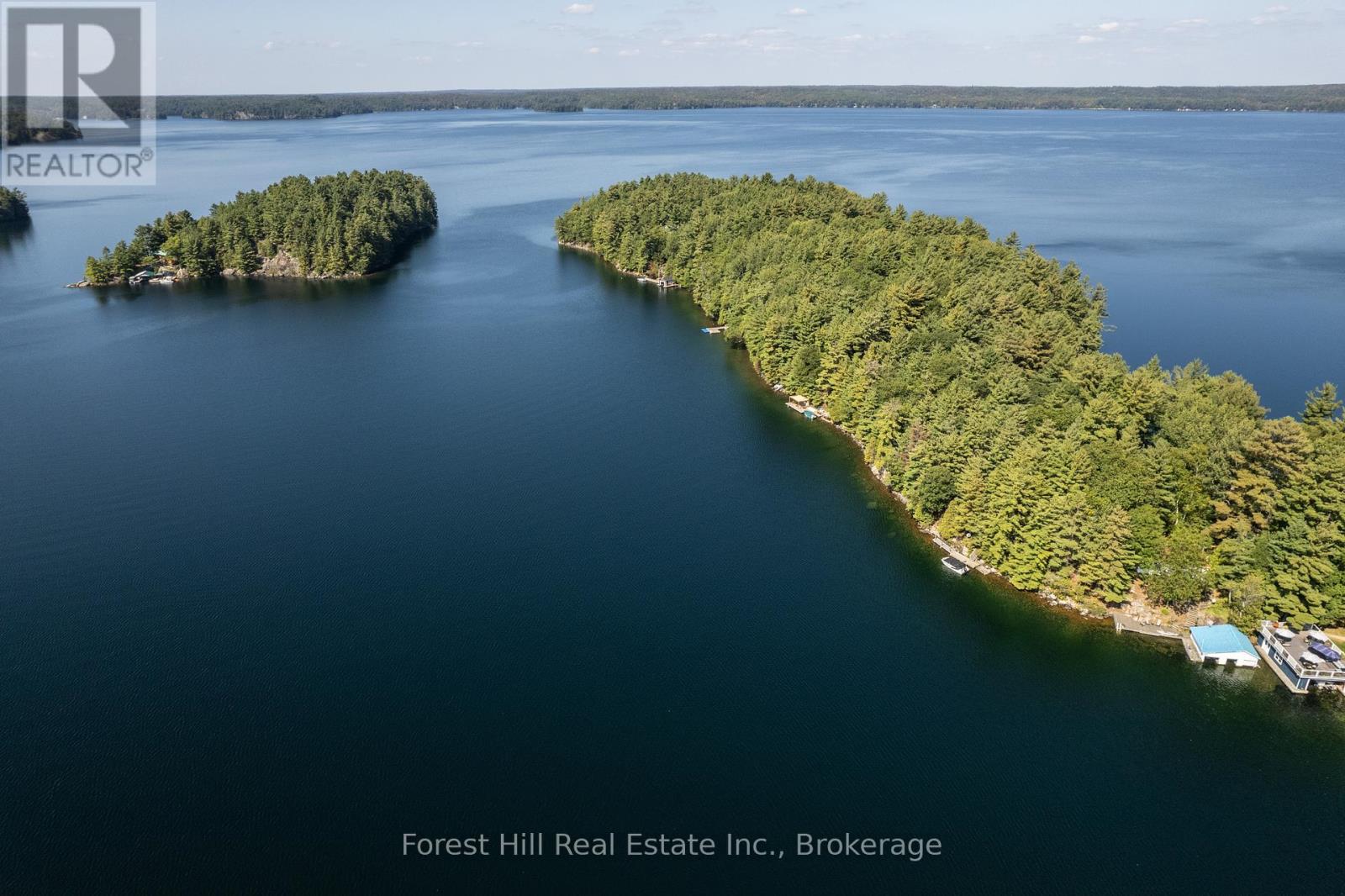29sl4 Clifton Island, Muskoka Lakes (Watt), Ontario  P0G 1G0 - Photo 40 - X12144484
