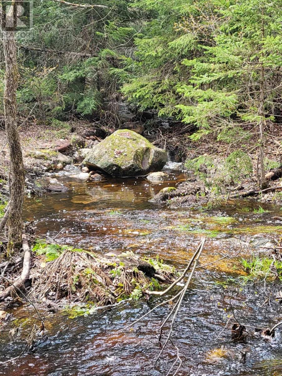 340 Deer Rock Lake Road, Addington Highlands, Ontario  K0H 1P0 - Photo 47 - X12144617