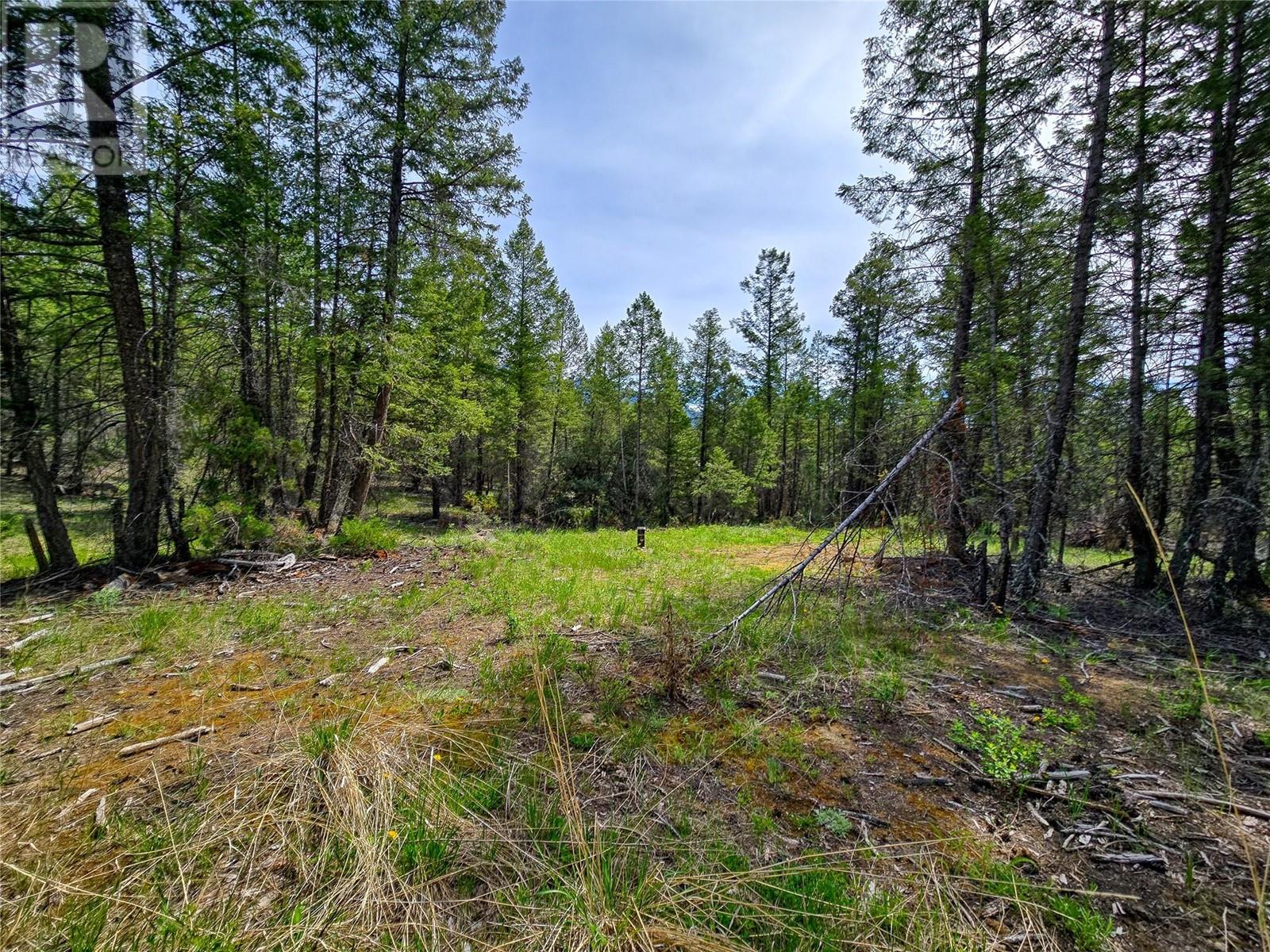 Lot 32 Elkhorn Boulevard, Windermere, British Columbia  V0B 2L2 - Photo 1 - 10347546