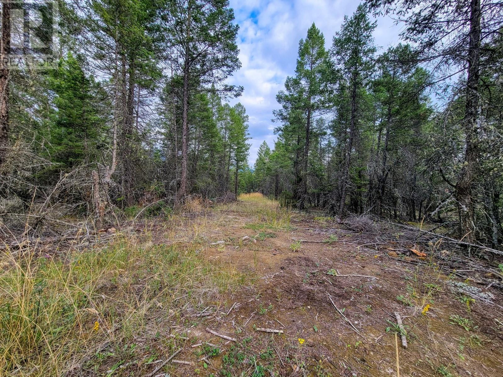Lot 32 Elkhorn Boulevard, Windermere, British Columbia  V0B 2L2 - Photo 17 - 10347546