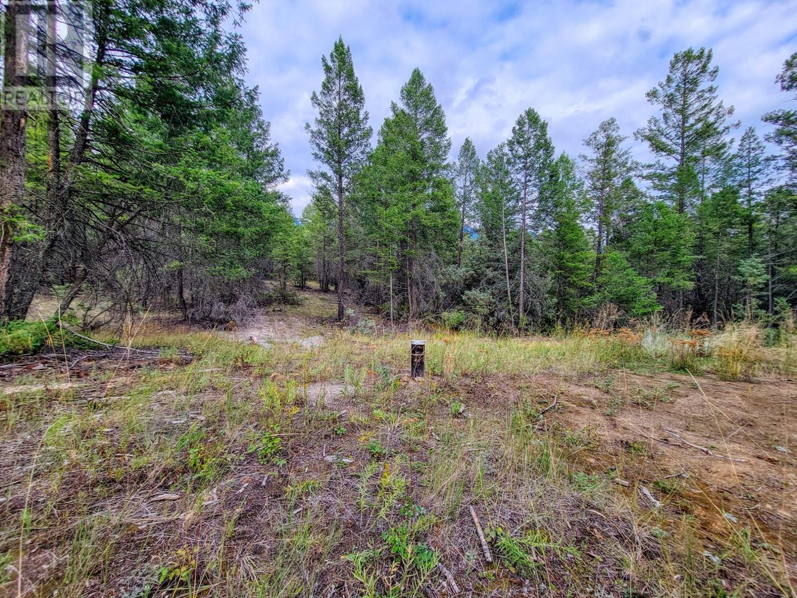 Lot 32 Elkhorn Boulevard, Windermere, British Columbia  V0B 2L2 - Photo 18 - 10347546