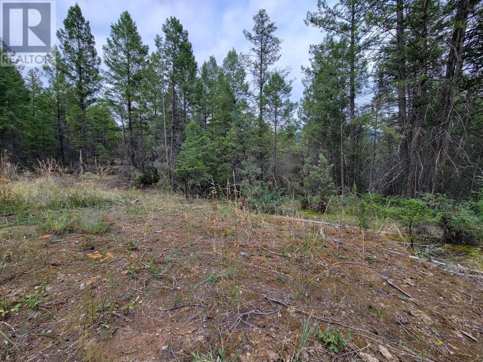 Lot 32 Elkhorn Boulevard, Windermere, British Columbia  V0B 2L2 - Photo 20 - 10347546