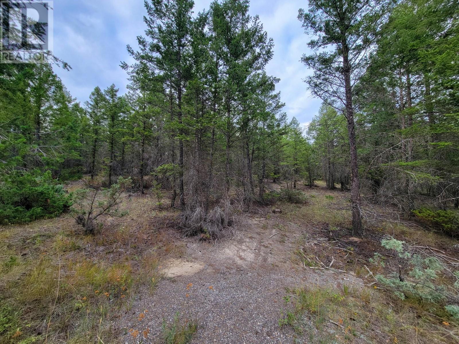 Lot 32 Elkhorn Boulevard, Windermere, British Columbia  V0B 2L2 - Photo 21 - 10347546