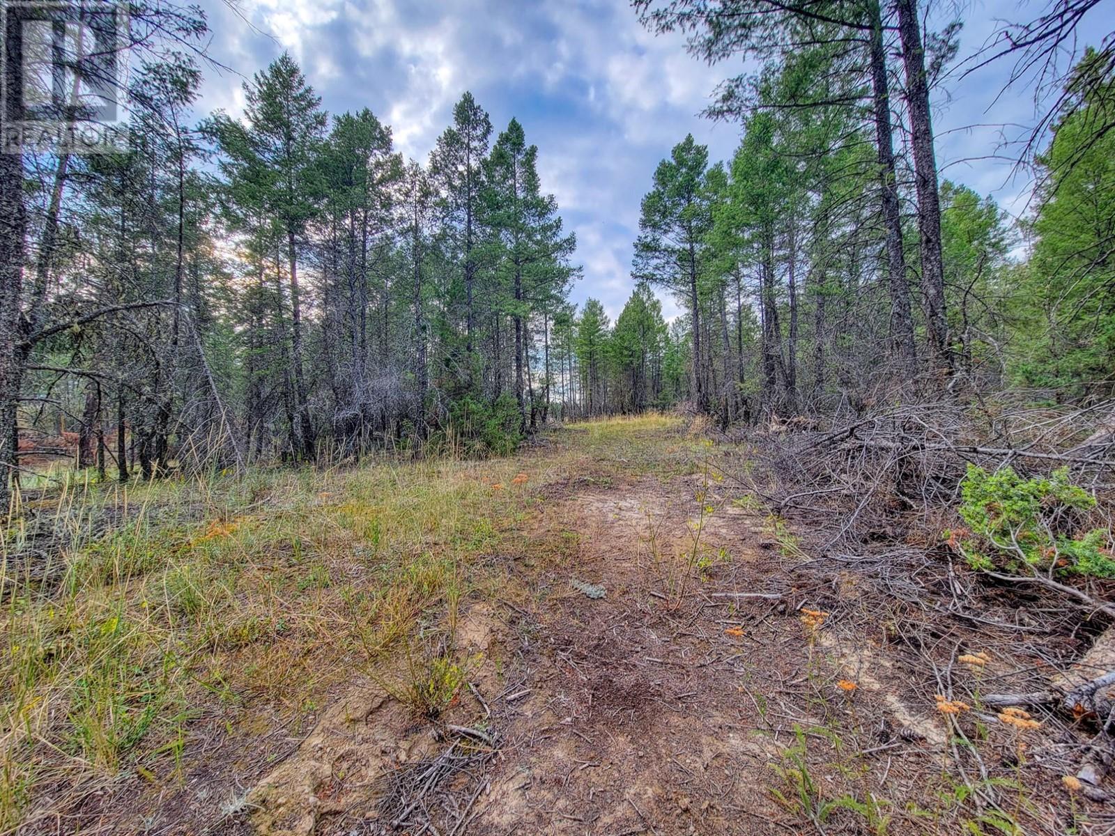 Lot 32 Elkhorn Boulevard, Windermere, British Columbia  V0B 2L2 - Photo 22 - 10347546