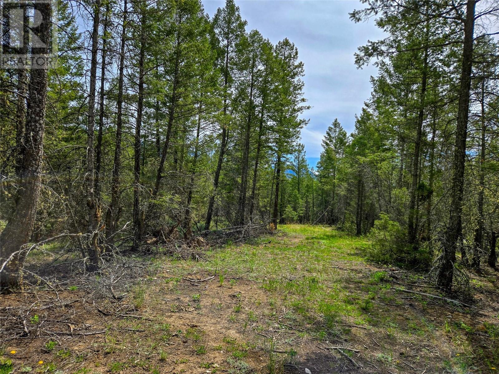 Lot 32 Elkhorn Boulevard, Windermere, British Columbia  V0B 2L2 - Photo 28 - 10347546