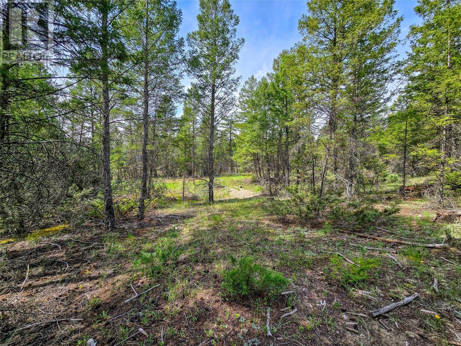 Lot 32 Elkhorn Boulevard, Windermere, British Columbia  V0B 2L2 - Photo 30 - 10347546