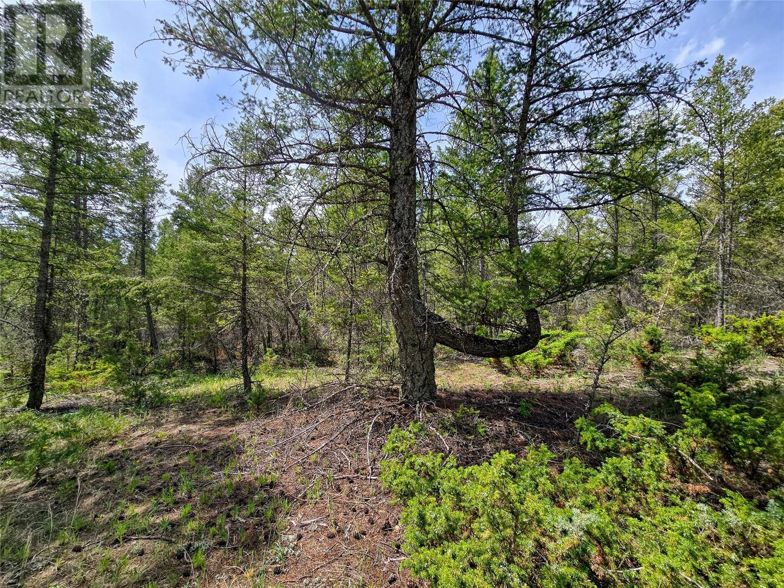 Lot 32 Elkhorn Boulevard, Windermere, British Columbia  V0B 2L2 - Photo 31 - 10347546
