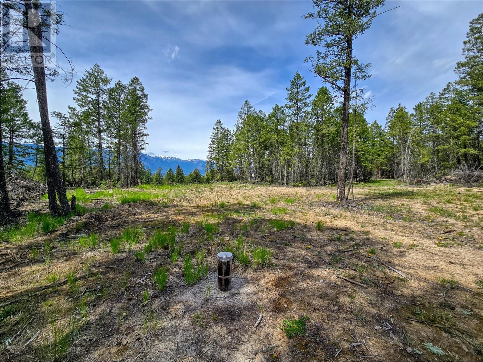 Lot 31 Elkhorn Boulevard, Windermere, British Columbia  V0B 2L2 - Photo 1 - 10347040