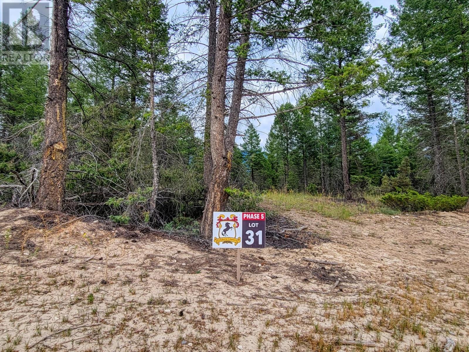 Lot 31 Elkhorn Boulevard, Windermere, British Columbia  V0B 2L2 - Photo 14 - 10347040