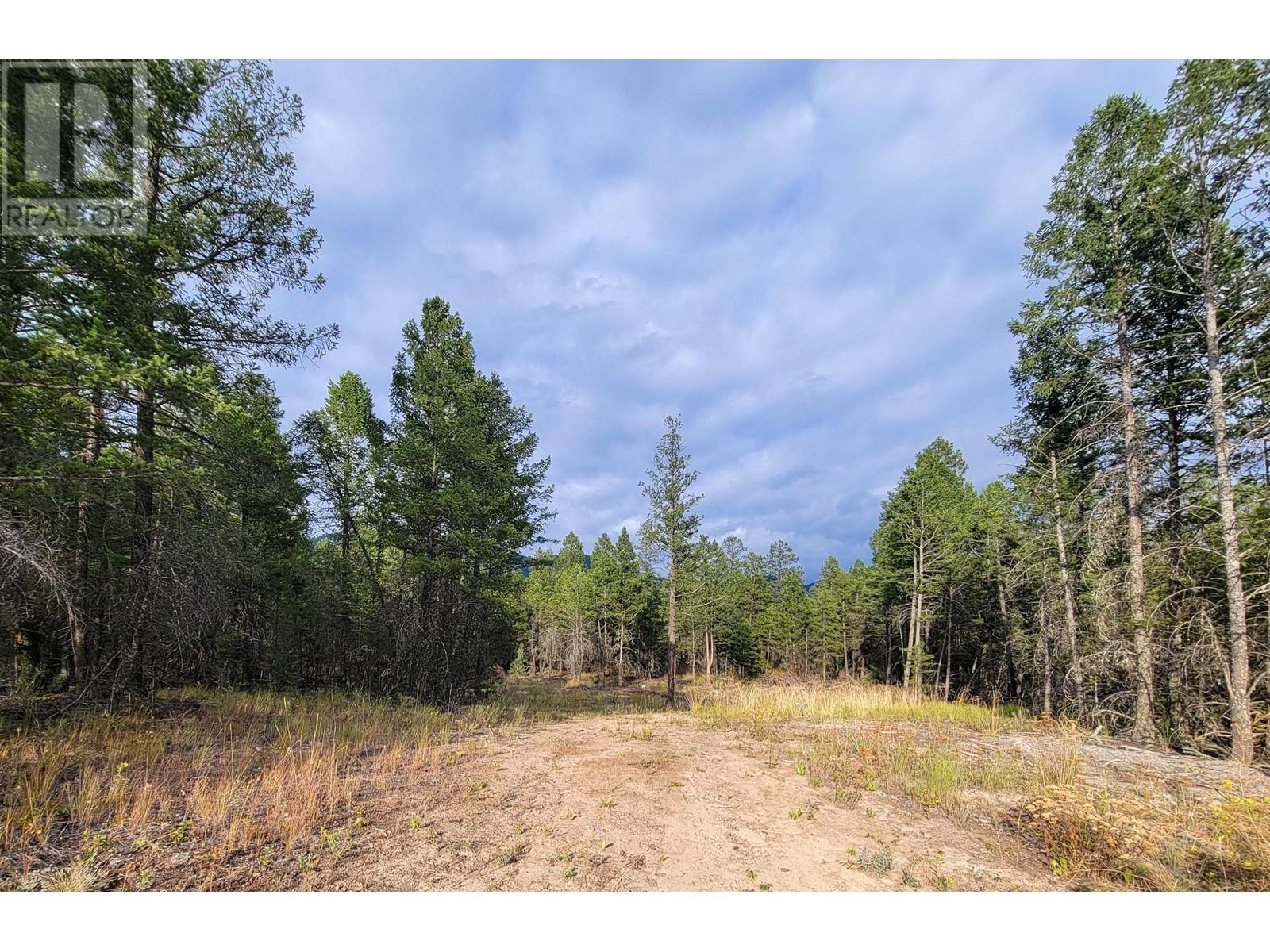 Lot 31 Elkhorn Boulevard, Windermere, British Columbia  V0B 2L2 - Photo 15 - 10347040