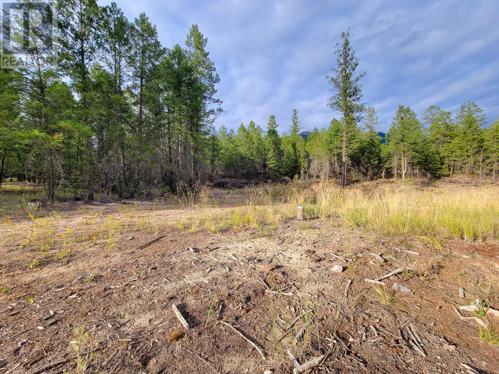 Lot 31 Elkhorn Boulevard, Windermere, British Columbia  V0B 2L2 - Photo 16 - 10347040