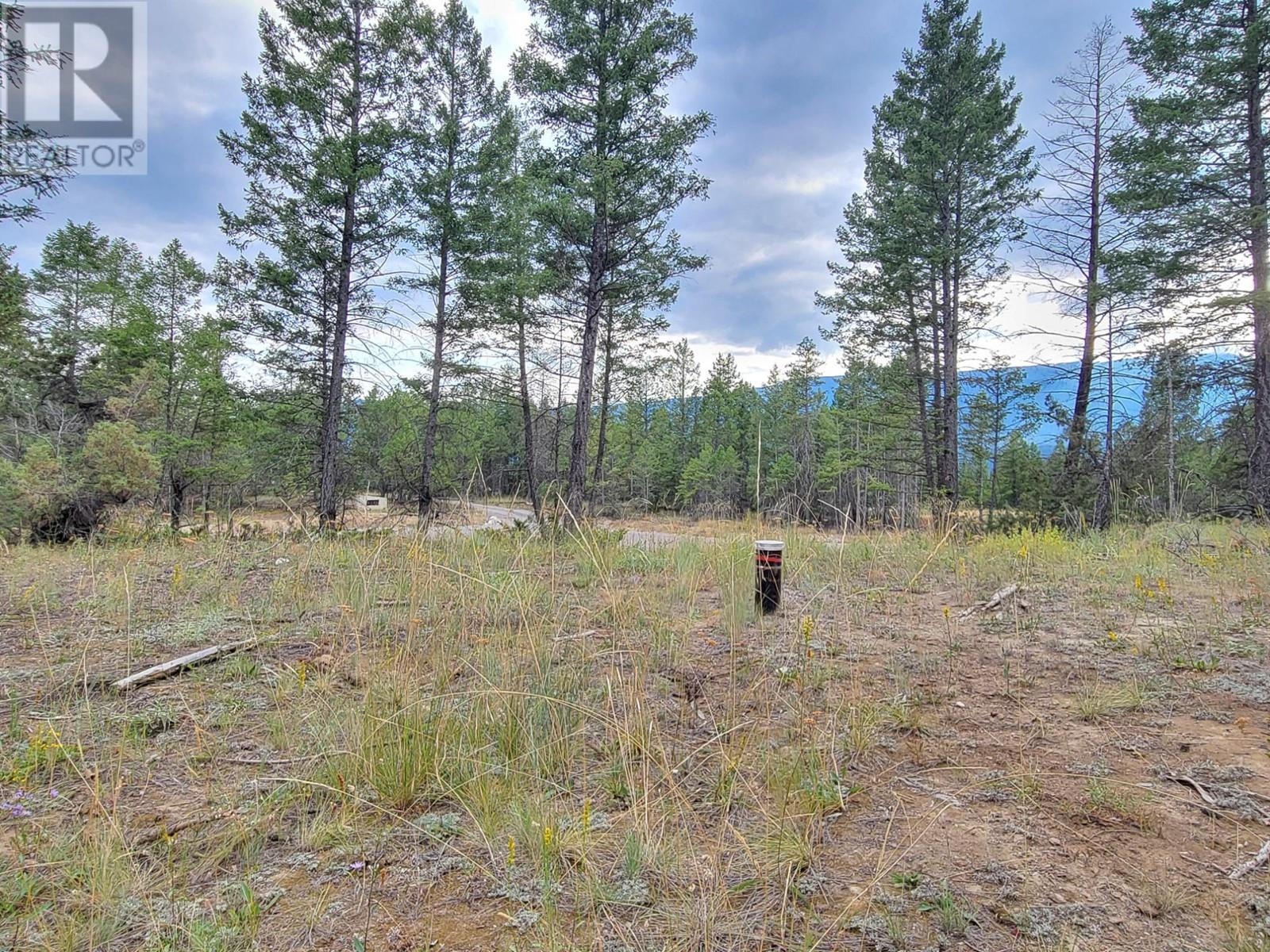 Lot 31 Elkhorn Boulevard, Windermere, British Columbia  V0B 2L2 - Photo 17 - 10347040