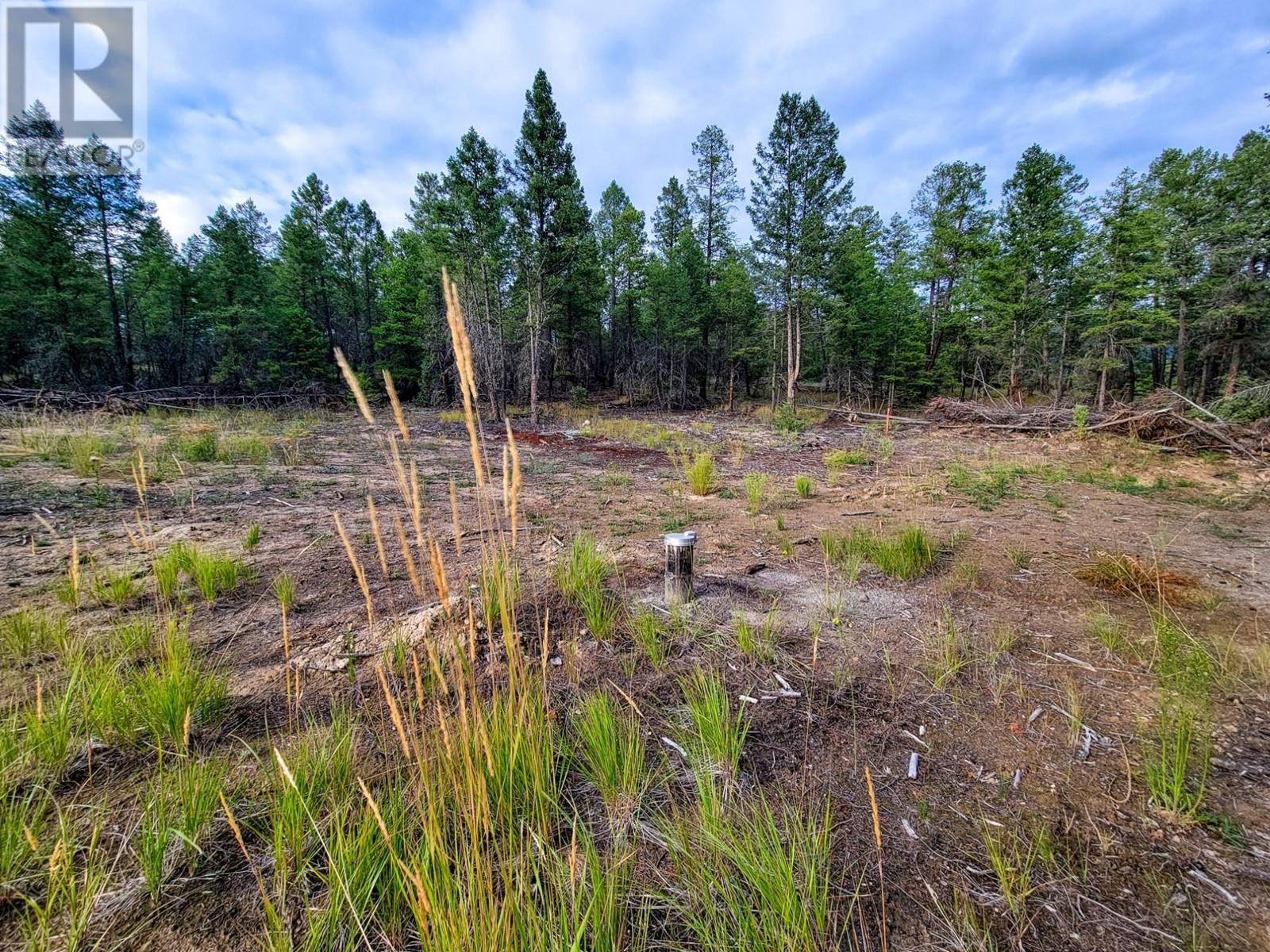 Lot 31 Elkhorn Boulevard, Windermere, British Columbia  V0B 2L2 - Photo 18 - 10347040