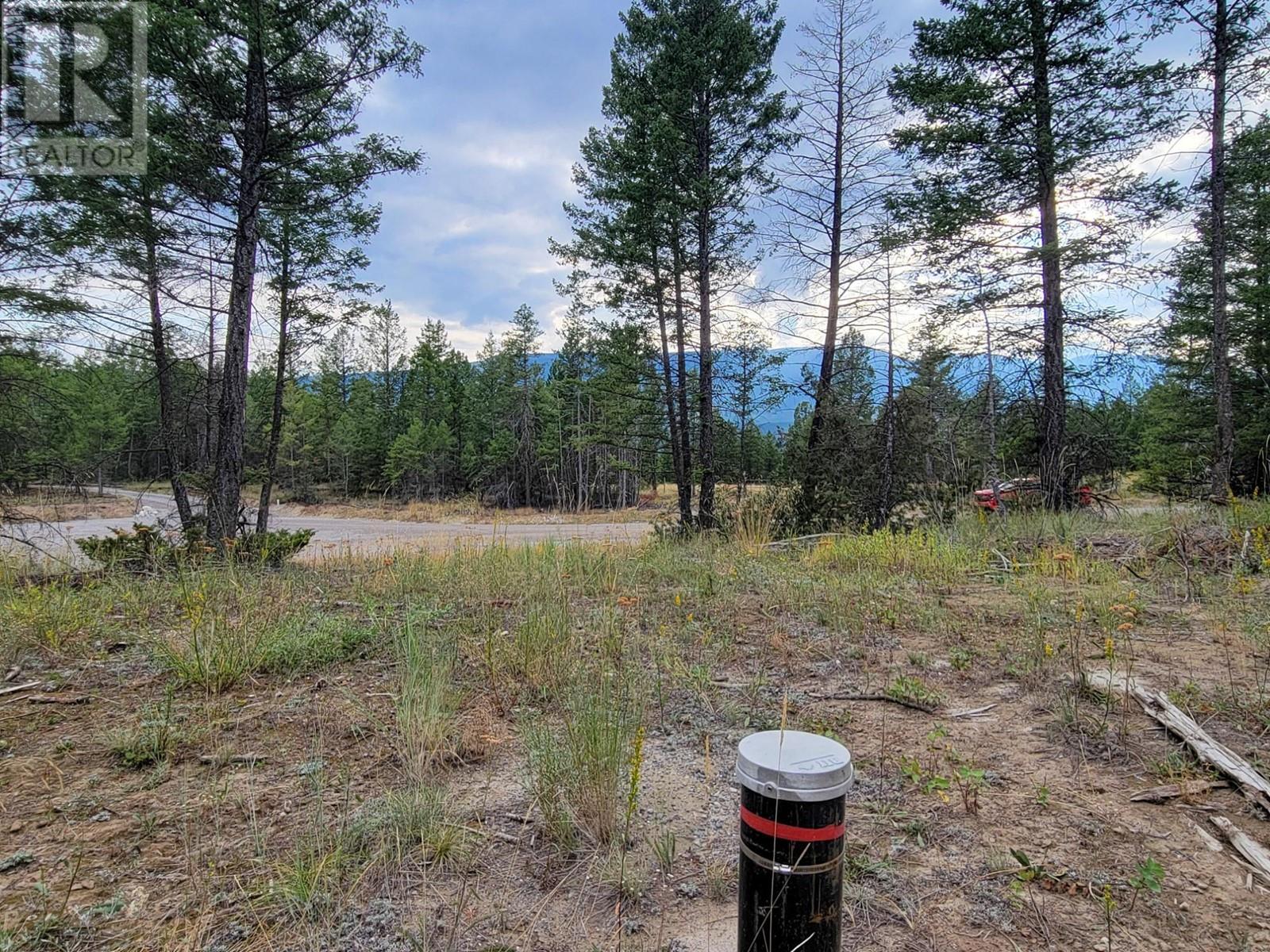 Lot 31 Elkhorn Boulevard, Windermere, British Columbia  V0B 2L2 - Photo 19 - 10347040