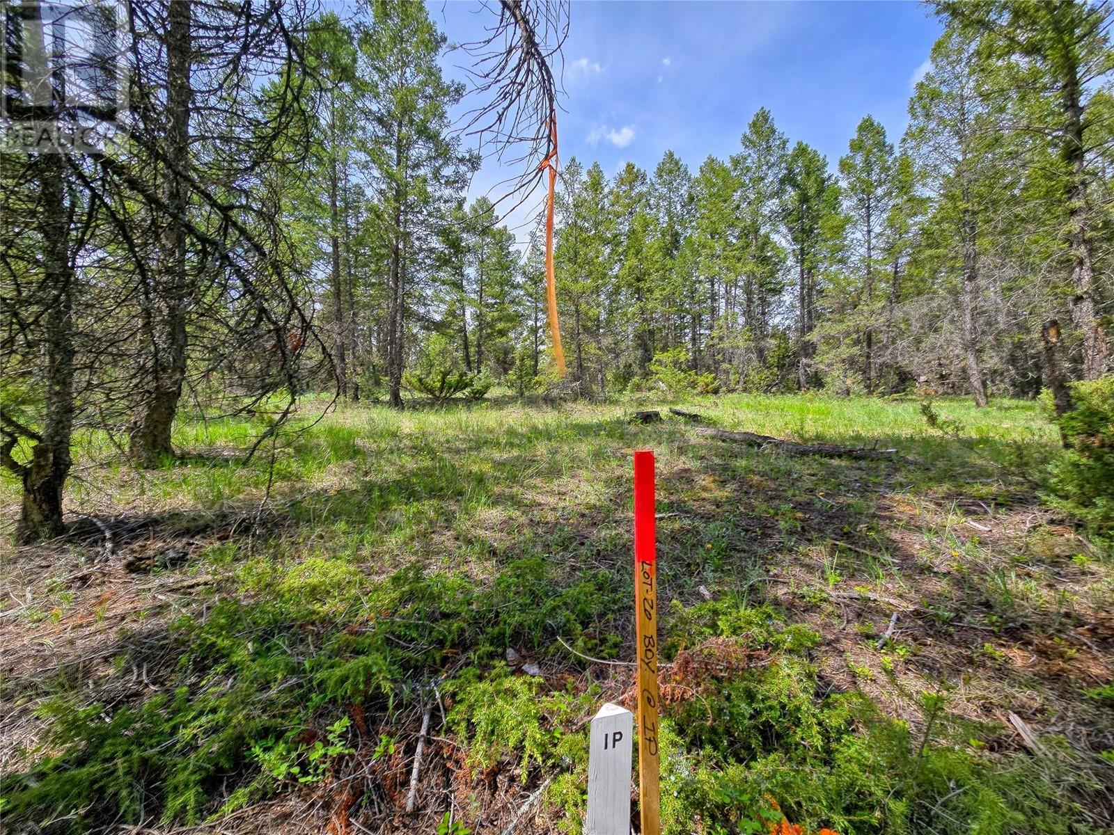 Lot 31 Elkhorn Boulevard, Windermere, British Columbia  V0B 2L2 - Photo 2 - 10347040