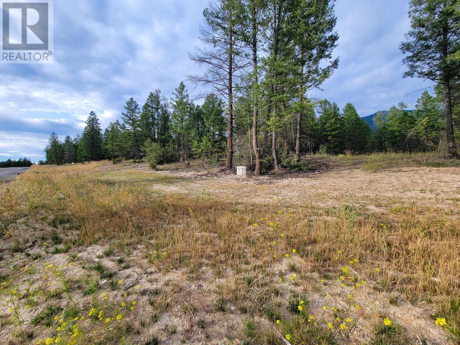 Lot 31 Elkhorn Boulevard, Windermere, British Columbia  V0B 2L2 - Photo 21 - 10347040