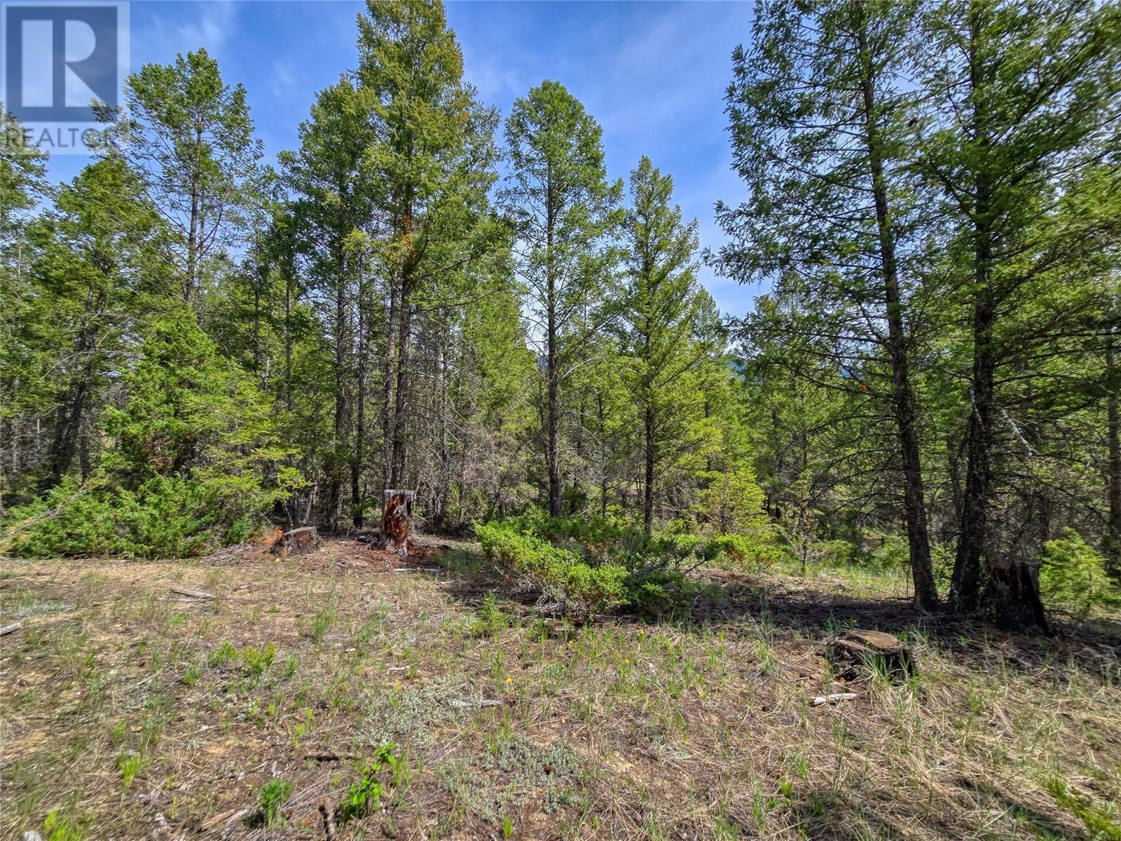 Lot 31 Elkhorn Boulevard, Windermere, British Columbia  V0B 2L2 - Photo 26 - 10347040