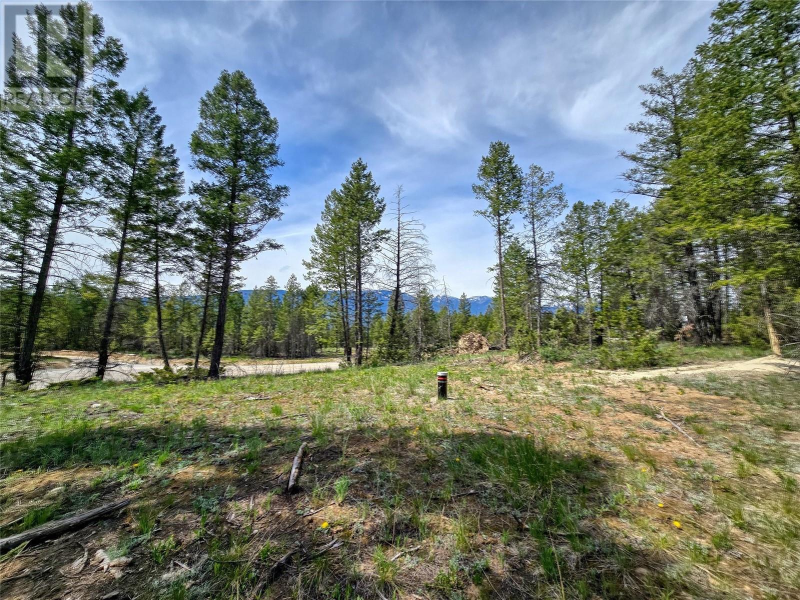 Lot 31 Elkhorn Boulevard, Windermere, British Columbia  V0B 2L2 - Photo 28 - 10347040