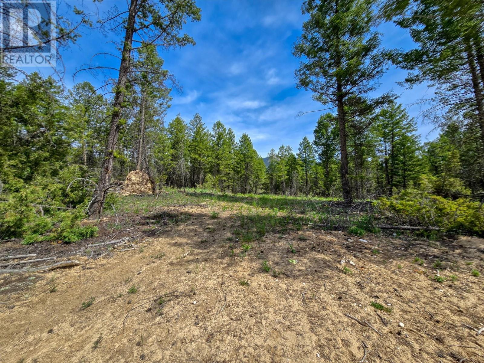 Lot 31 Elkhorn Boulevard, Windermere, British Columbia  V0B 2L2 - Photo 29 - 10347040