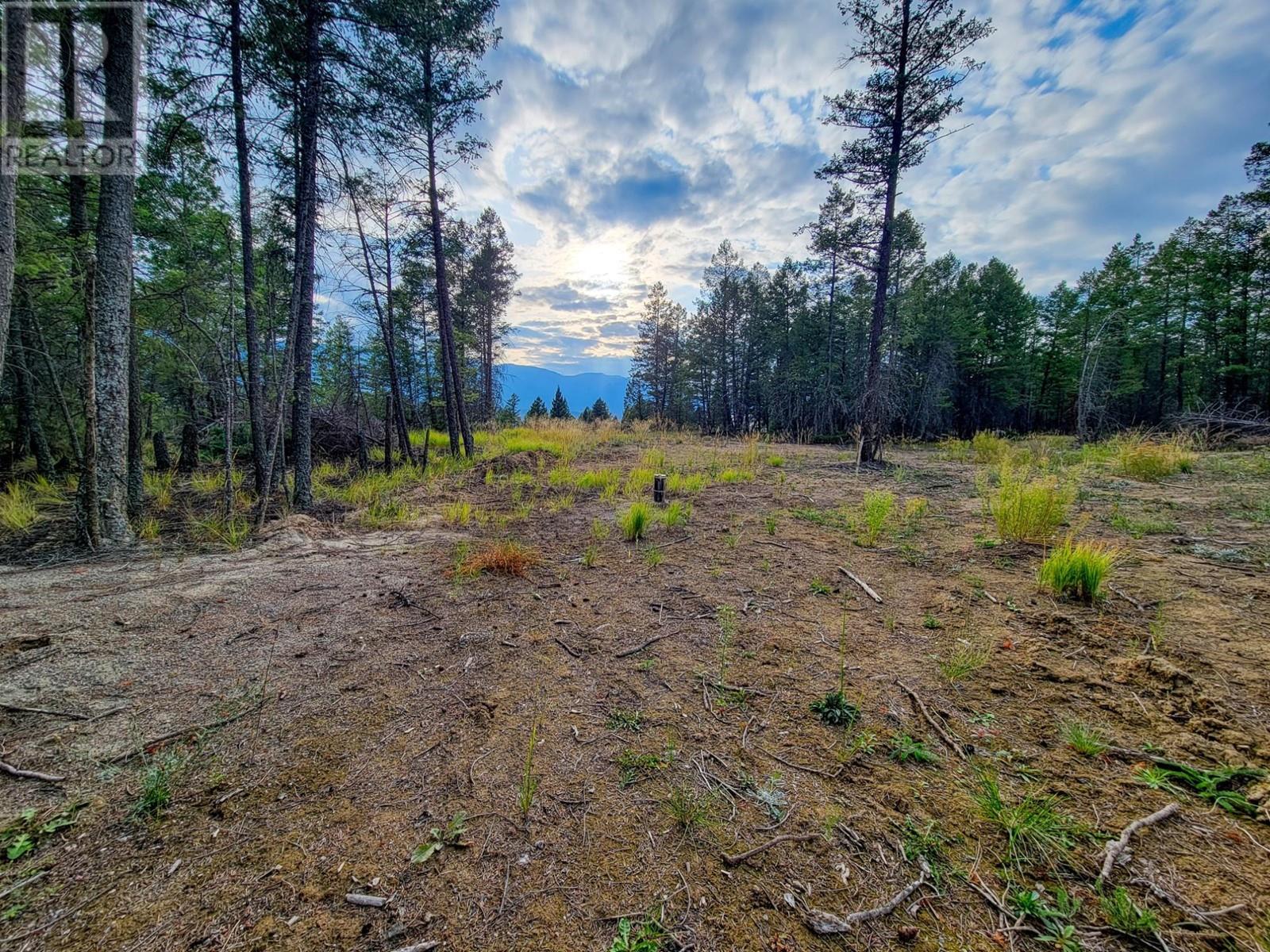 Lot 31 Elkhorn Boulevard, Windermere, British Columbia  V0B 2L2 - Photo 3 - 10347040