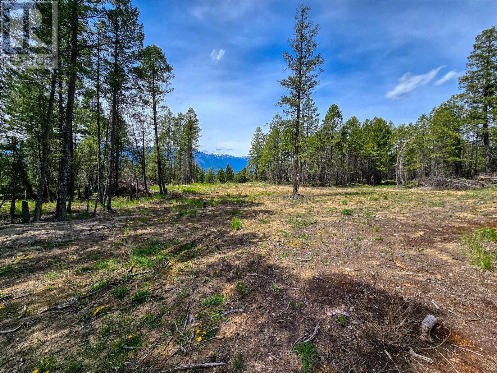 Lot 31 Elkhorn Boulevard, Windermere, British Columbia  V0B 2L2 - Photo 31 - 10347040