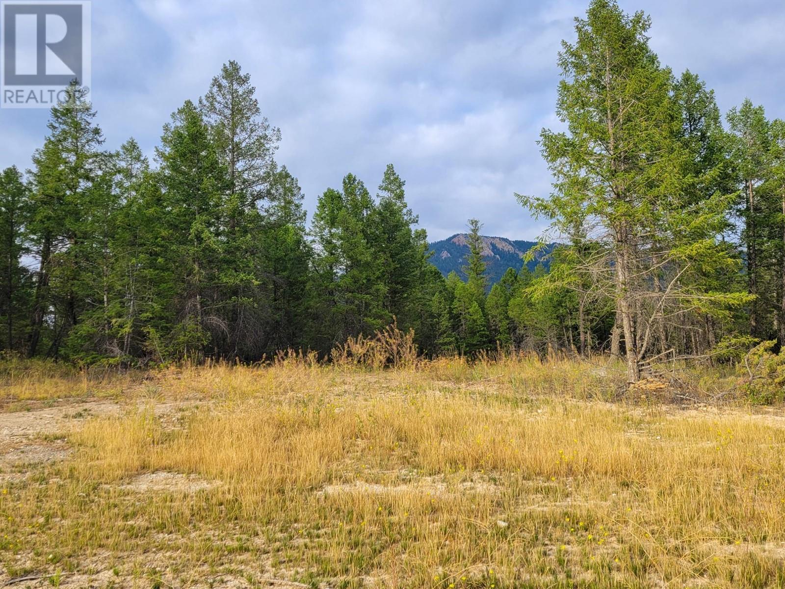 Lot 31 Elkhorn Boulevard, Windermere, British Columbia  V0B 2L2 - Photo 5 - 10347040